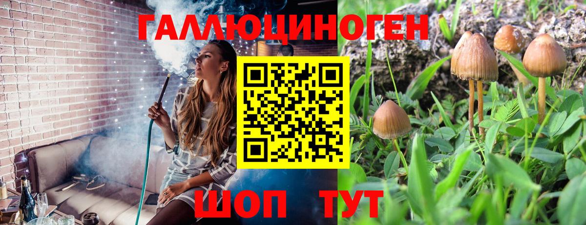 Сланцы  Галлюциногенные грибы мухоморы  Вход с VPN  Галлюциногенные грибы Psilocybine cubensis 